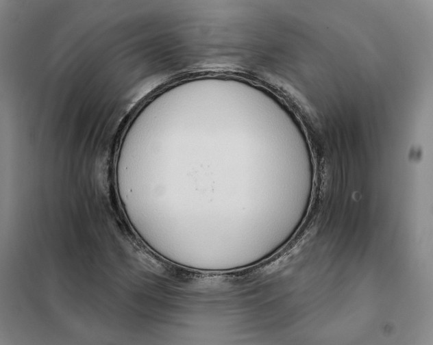 X0000101121162200807241152