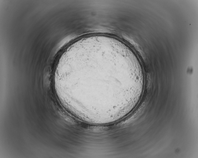 X0000101121163200807241152