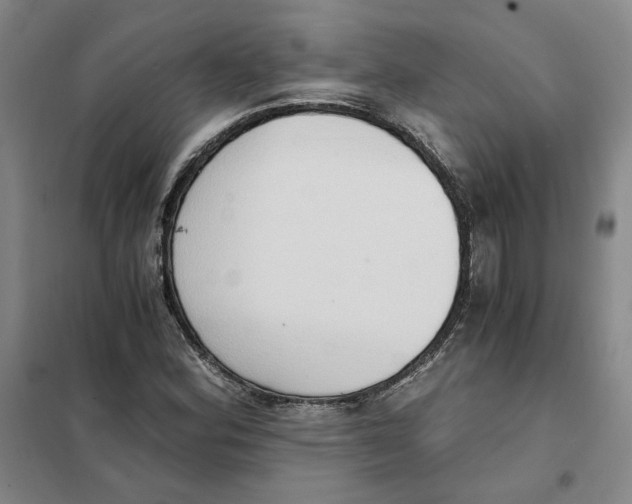 X0000101121164200807241152