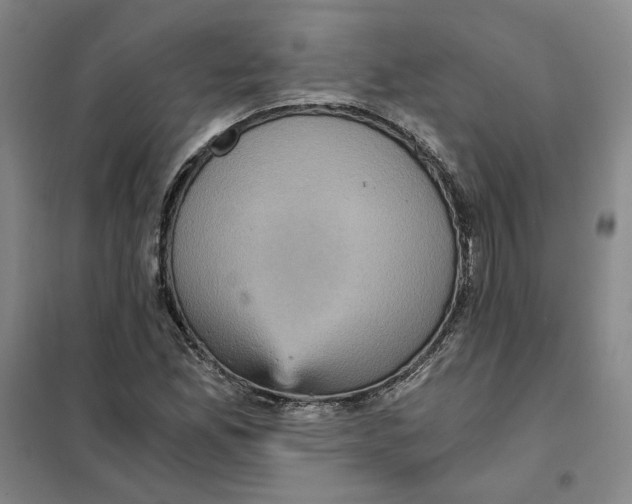 X0000101121165200807241152