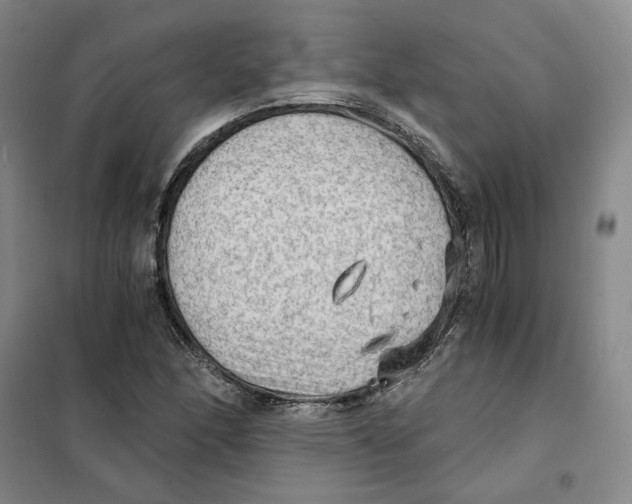 X0000101121166200807241152