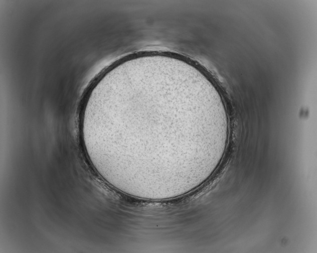 X0000101121167200807241152