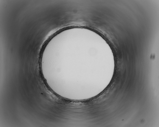X0000101121168200807241152