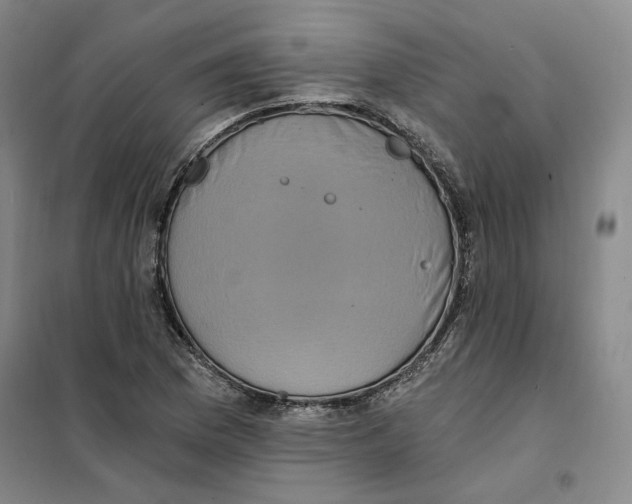 X0000101121169200807241152