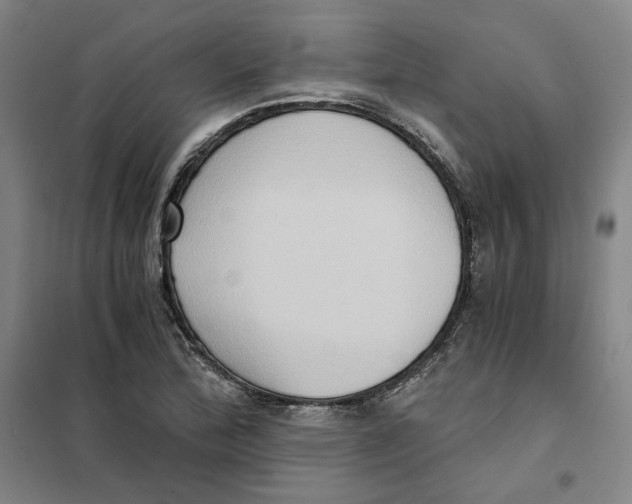 X0000101121172200807241152