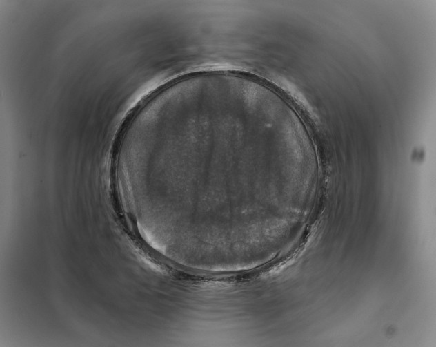 X0000101121173200807241152