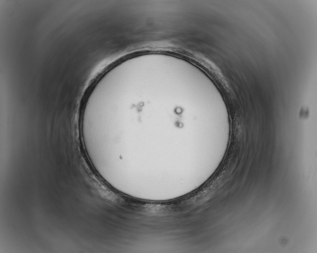 X0000101121176200807241152
