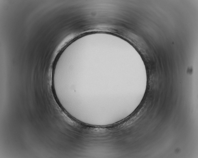 X0000101121180200807241152