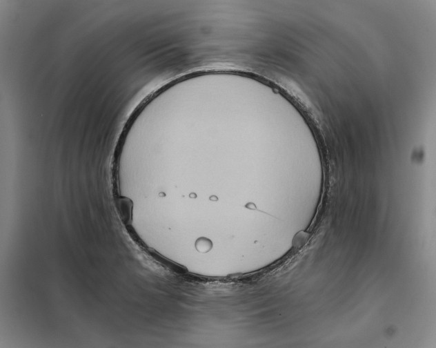 X0000101121181200807241152