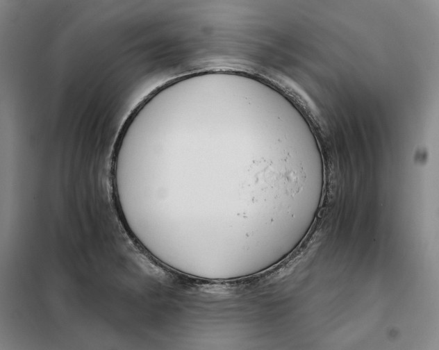 X0000101121182200807241152