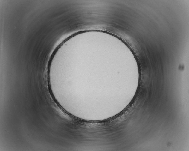 X0000101121184200807241152