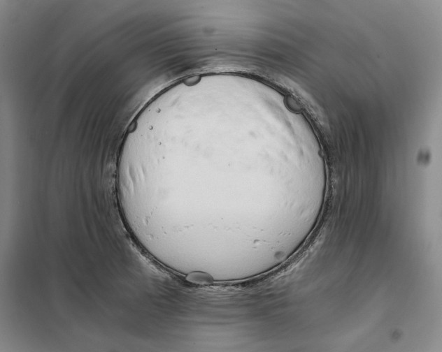 X0000101121185200807241152