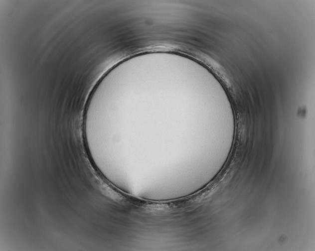 X0000101121186200807241152