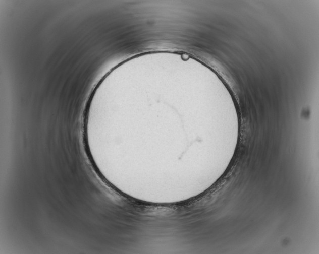 X0000101121187200807241152