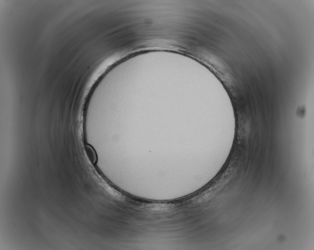 X0000101121188200807241152