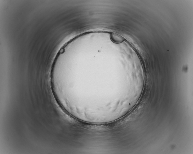 X0000101121189200807241152