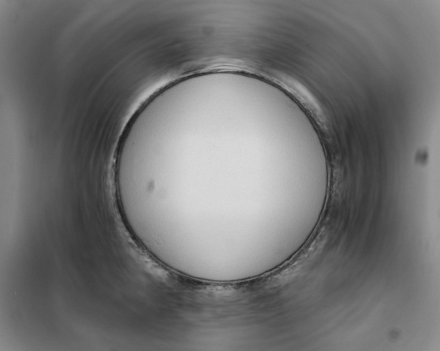 X0000101121190200807241152