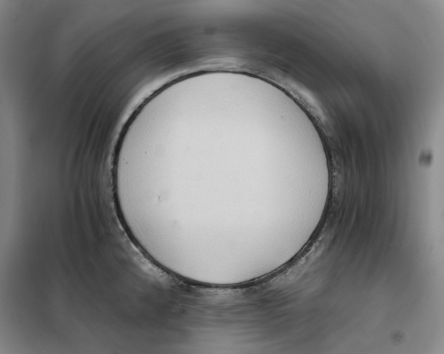 X0000101121192200807241152