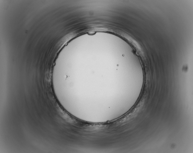 X0000101121193200807241152