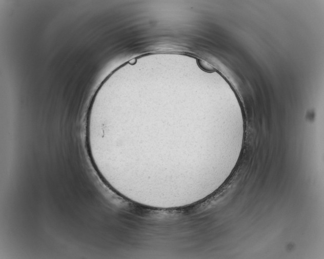 X0000101121195200807241151