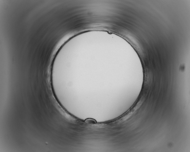 X0000101121196200807241151