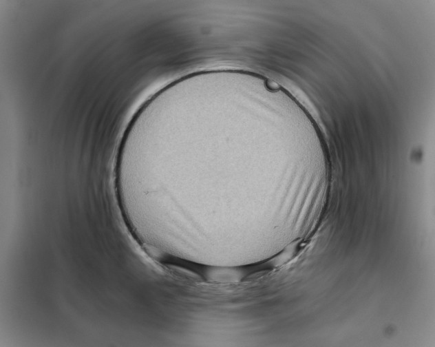X0000101121197200807241151