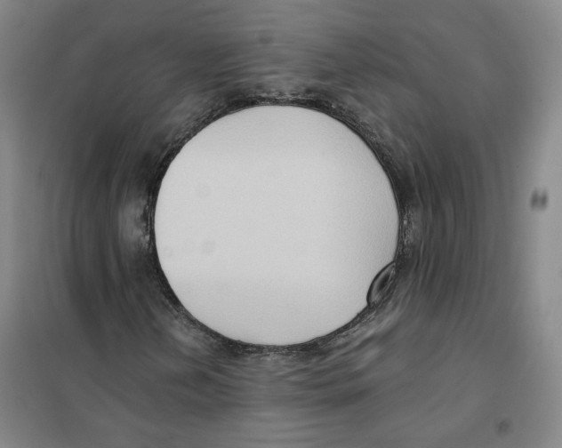 X0000101121202200807241151