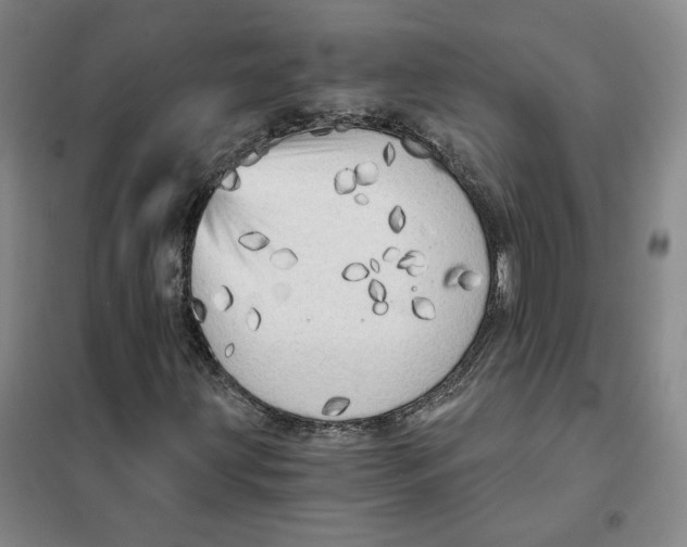 X0000101121203200807241151