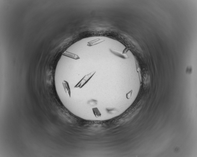 X0000101121204200807241151