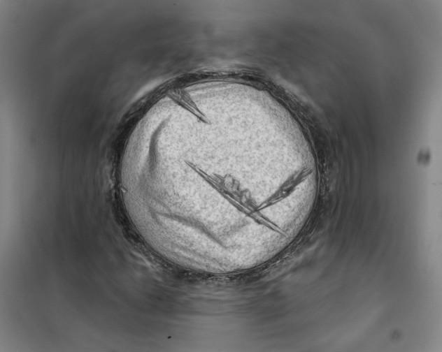 X0000101121206200807241151