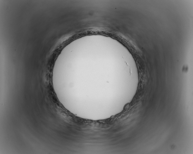 X0000101121207200807241151