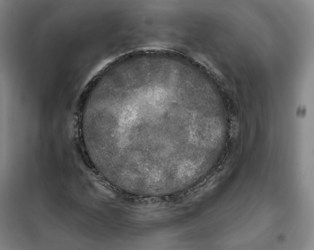 X0000101121208200807241151