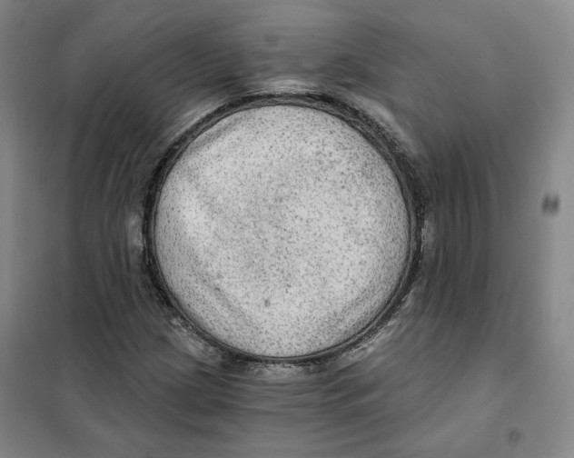 X0000101121209200807241151