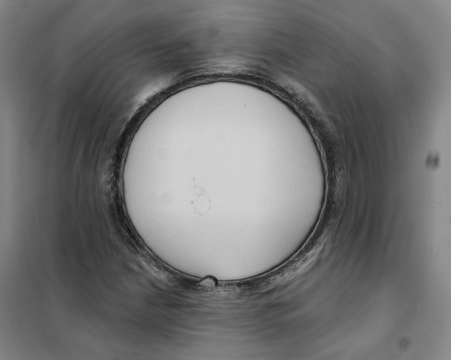 X0000101121210200807241151