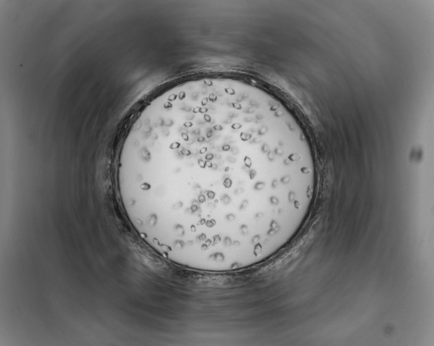 X0000101121211200807241151