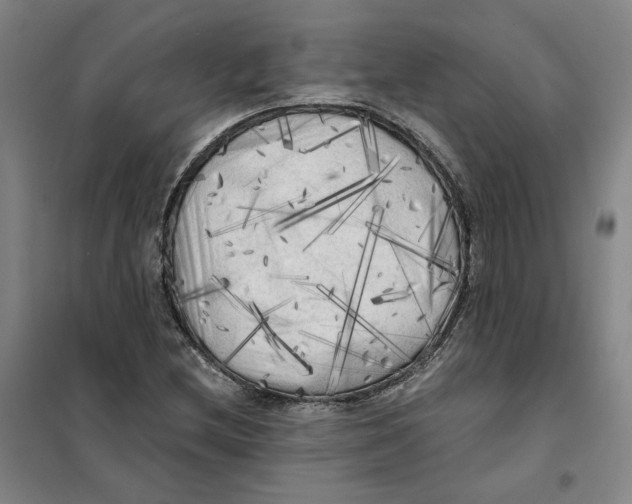 X0000101121212200807241151