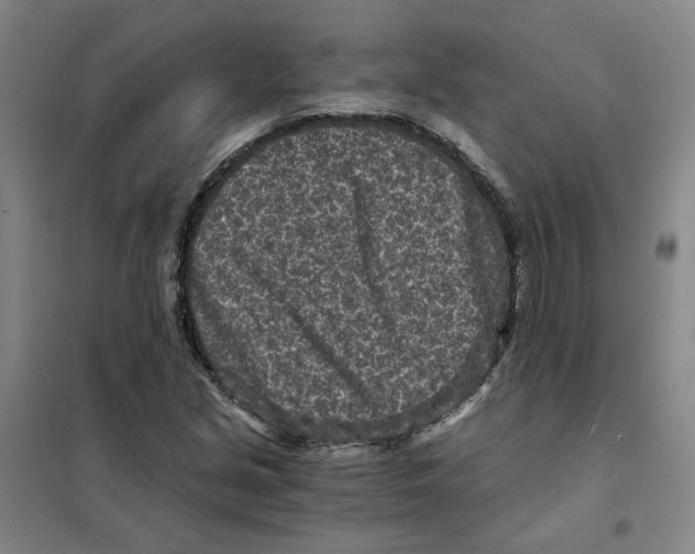 X0000101121213200807241151