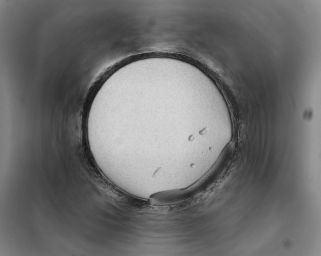 X0000101121214200807241151