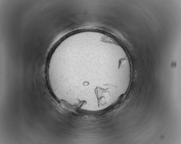 X0000101121216200807241151