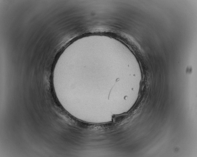 X0000101121217200807241151