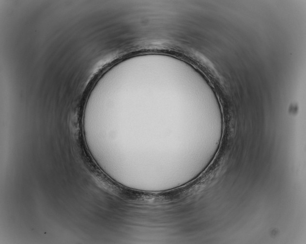 X0000101121218200807241151