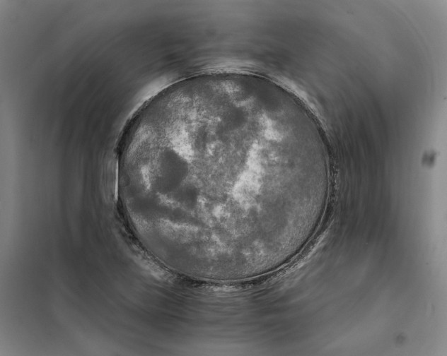 X0000101121219200807241151