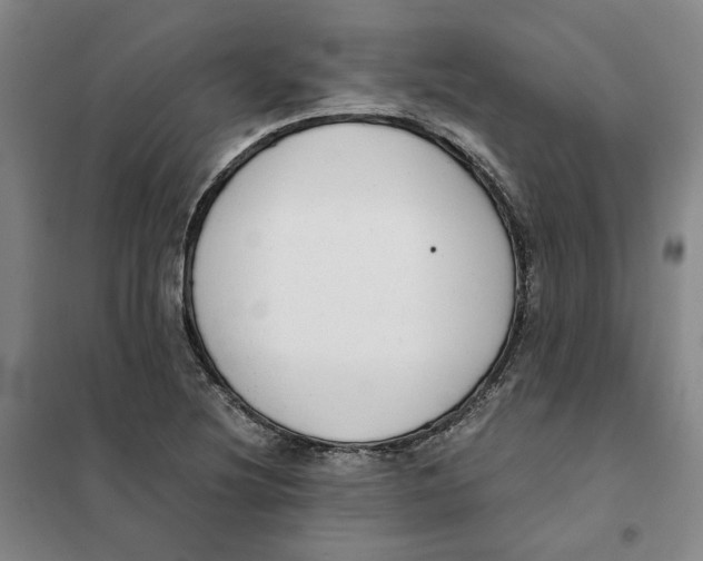X0000101121220200807241151
