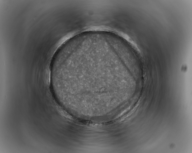 X0000101121221200807241151