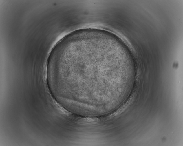 X0000101121224200807241151