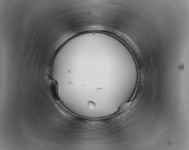 X0000101121225200807241151