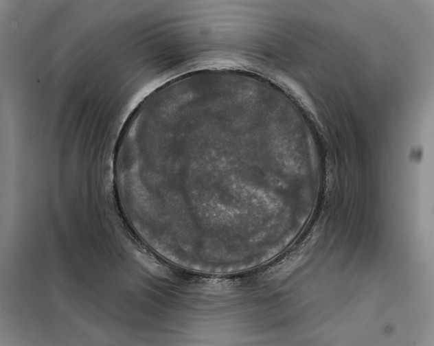 X0000101121226200807241151