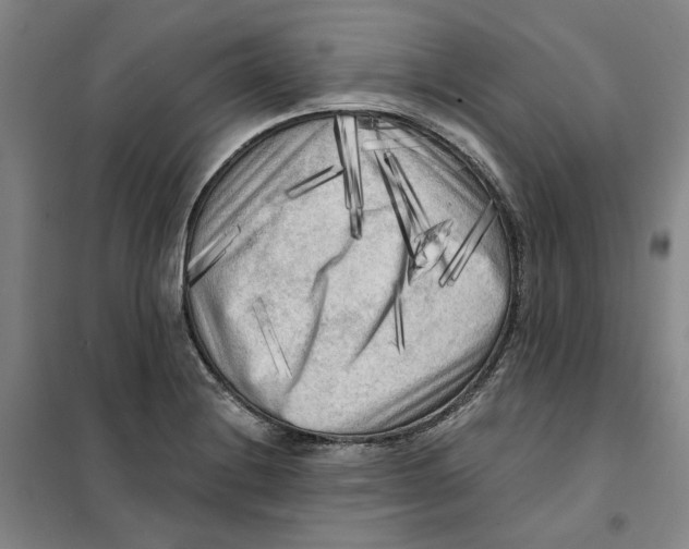 X0000101121228200807241151