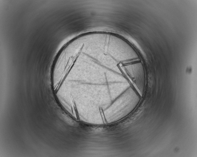 X0000101121230200807241151