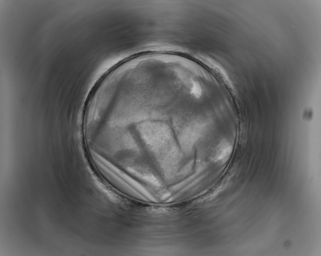 X0000101121231200807241151